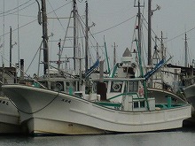 ����ꥤ�����ץ��