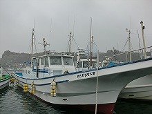 イナダ釣りプラン