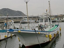 (土日祝)アジの泳がせ釣り釣りプラン