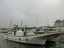 アマダイ釣りプラン(土日祝)