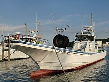 ☆平日5人から☆イナダ・ワラサ釣りプラン