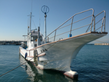 マダコ釣りプラン