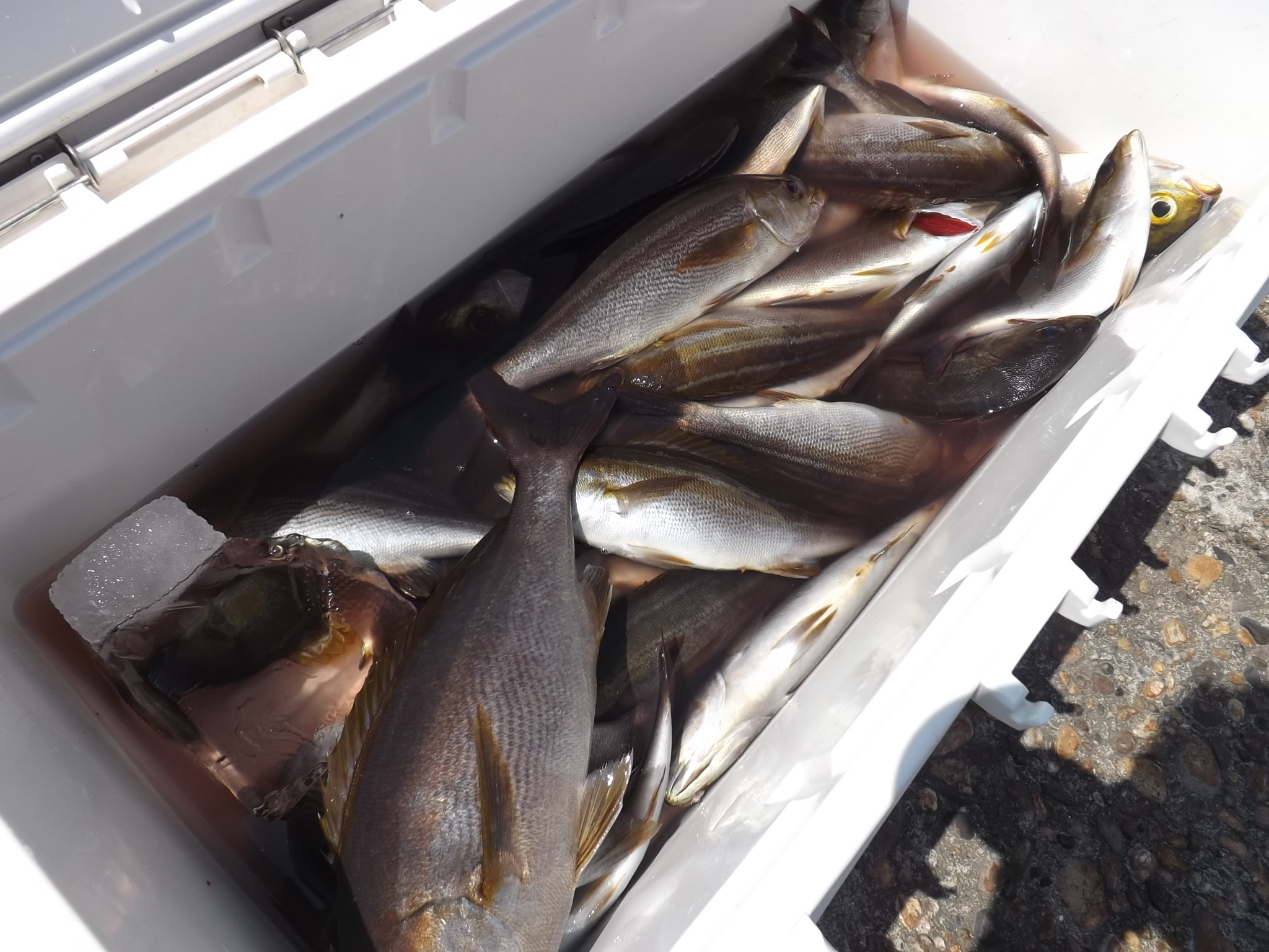 ����塦�����ˢ����ޥ��������������ץ��