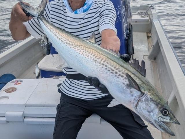 <AM船>ボート船で行く!ルアー青物五目釣りプラン☆サワラ・イナダ・シーバス・タチウオ等☆割引中☆