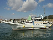 ◆午後◆エサ付き価格で千葉県最安値!!ひとつテンヤのマダイ釣りプラン(平日)※プラン詳細内容を必ず確認の上お申込み下さい※