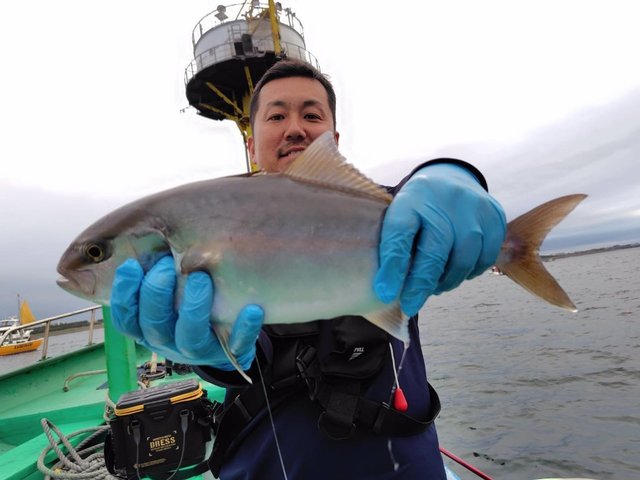 ��5��4�����ݥå����ۿ��캬���������ץ��