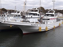 大物狙い☆イシダイ五目釣りプラン