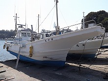 ޥ륤ץ