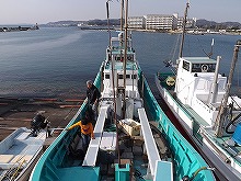 ��ʿ�����ꡪ�����ޥ�����ĩ��ʤ餳�졪���ޥ����������ץ��