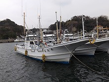 (平日)LT五目釣りプラン(イサキ)=船長おすすめ=