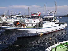 ◆平日5人からOK◆超有名ブランド♪走水アジ釣りプラン!