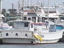 船長オススメ!!コマセで狙うハナダイ五目釣りプラン