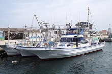 (平日)高級魚!!マゴチ釣りプラン