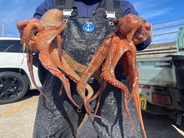 ��12�����ۥޥ������ץ��