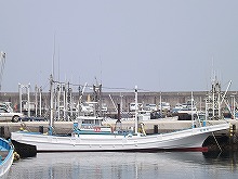 【乗合船】ヤリイカ釣りプラン♪