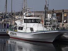 ◇午前◇ひとつテンヤで狙うマダイ釣りプラン
