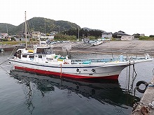 �����������˥������Фä��ꡪ�����������ץ��