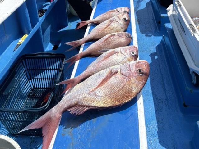 ��5����ۡԸ��ա����겭���緿�������������ޥ��ޥ������ץ��
