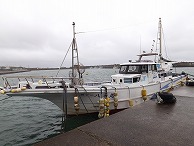 ☆仕立は3倍9,000pt☆盛りだくさん♪高級魚も!(平日)◇午前◇マダイ・イサキ五目釣りプラン♪