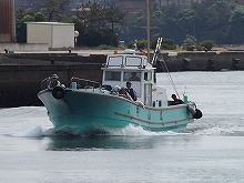 【土日祝】エギタコ釣りプラン