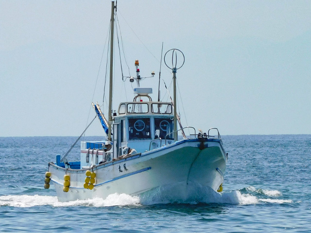 ��ꥤ�����ץ��