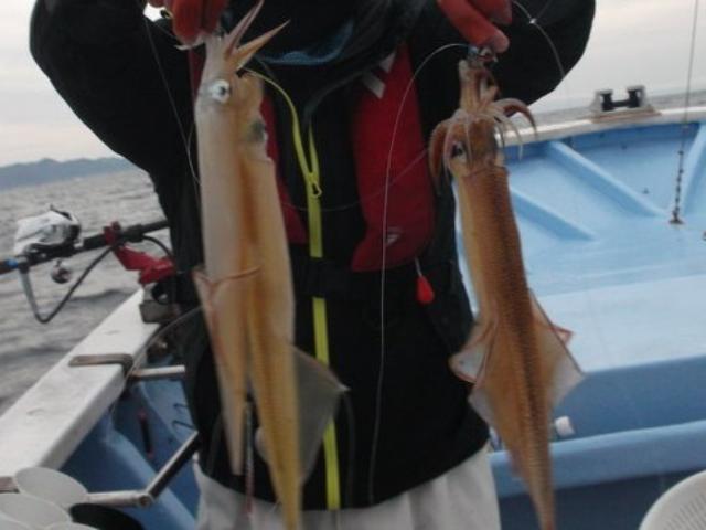 ��ꥤ�����ץ���ɹ�դ�������äƳڤ��������٤���̣������