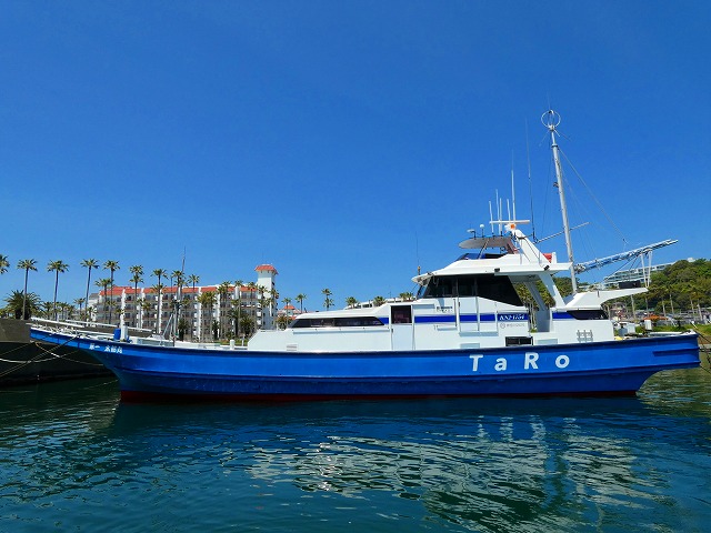 ��GW��������Υ����꡼�������ץ����˽��ڥ��Ǽ¼�8,500��/�͡�