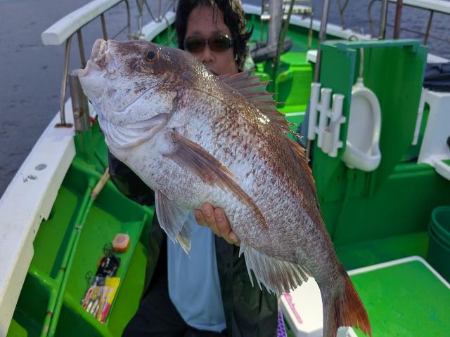 ◆午後◆ひとつテンヤマダイ釣りプラン(タイラバ・スロー可)