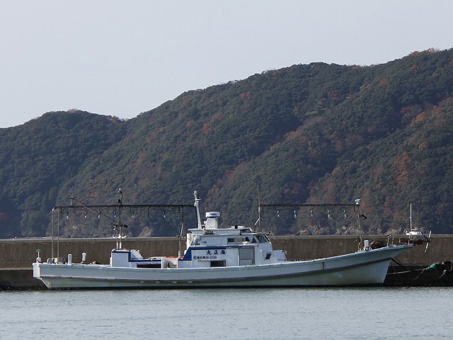 Ⱦ먢⡦ƥåץ󡦥ꥤץ