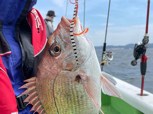 <久里浜沖>タイラバ・一つテンヤ・タイジグで狙うマダイ釣りプラン☆船宿オススメ☆