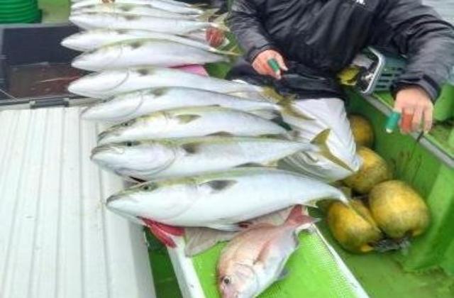 饵ץͥĹ˾ݡȤǥӥʡ¿ԡ