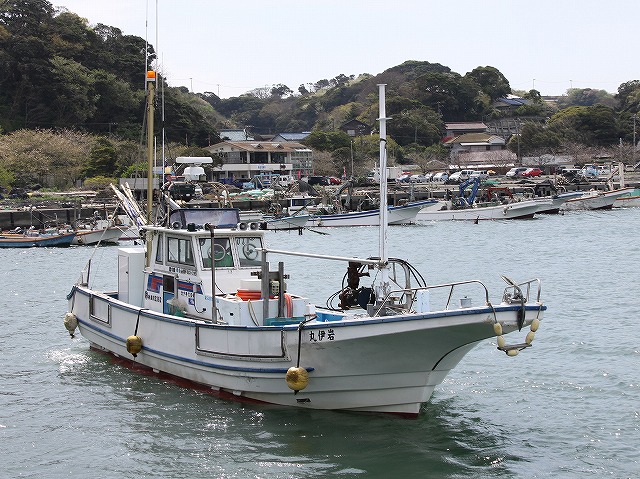 中深場五目釣りプラン