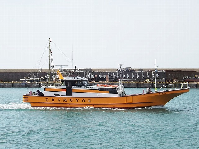 Ĺءޥܡŷ麬ץʥޥвġ