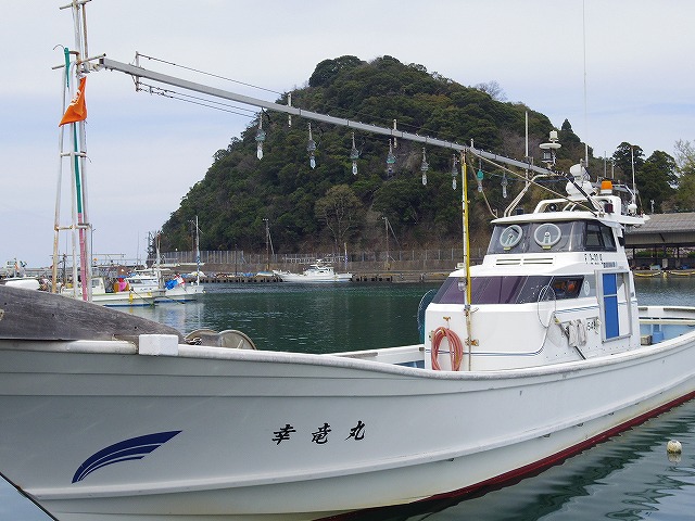 4名様〜《ゆっくり出船》多彩なターゲット(*^。^*)若狭湾の沖釣りプラン