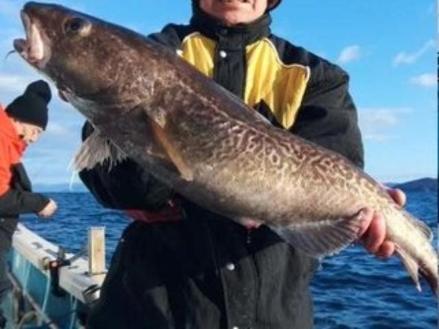 ���������ץ����輷�����Ȥ��ݤ��ߤ��ڤä�����ڤ��⤦��