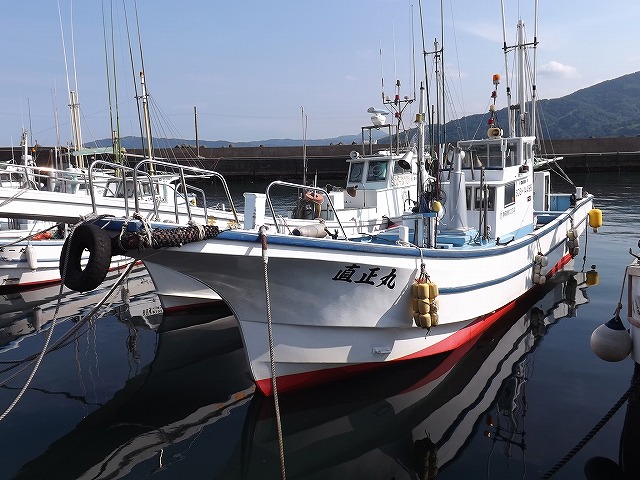 ★午前★ティップラン・アオリイカ釣りプラン