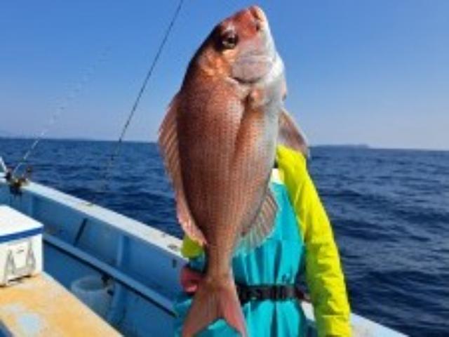 �ޥ����������ץ����ޥ�����ᥤ����͡��ʥ������åȤ������ޤ�����3̾�ʾ��1,000��/��OFF������˻ųݤ��ץ쥼��ȡ�