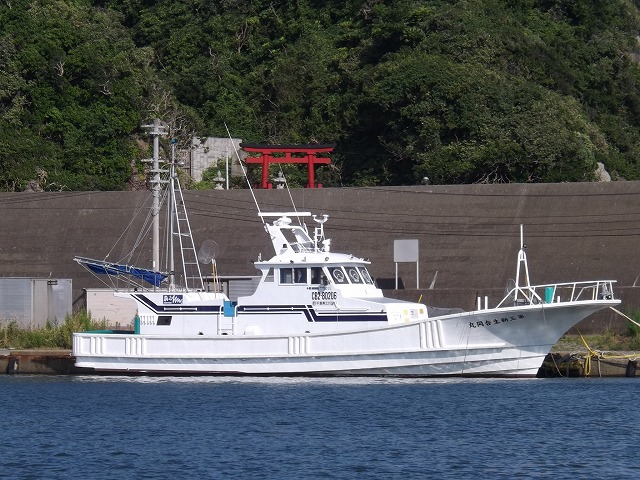 ☆午前☆フラッシャーサビキ(クロムツ五目)→タチウオのリレー釣りプラン