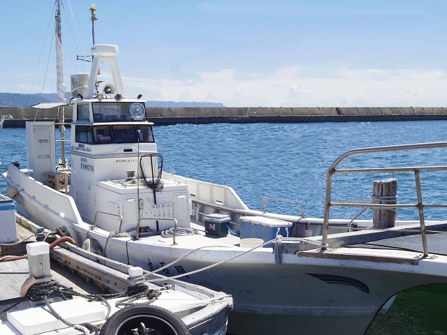 �������ˡˡ���͵��������������ץ��