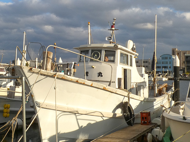 �������ء���ʪ���᥸�����֥����ץ��ʥ����󥰡��Υޥ���