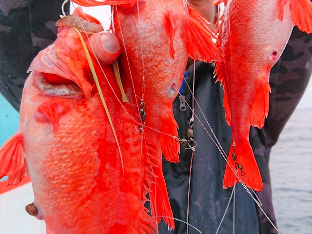 超深場で狙う!メヌケ釣りプラン