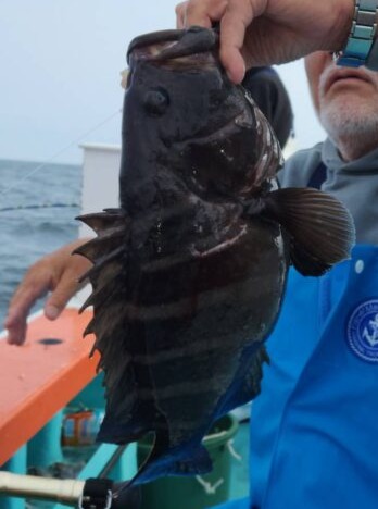 �ޥϥ�������� �ץ���