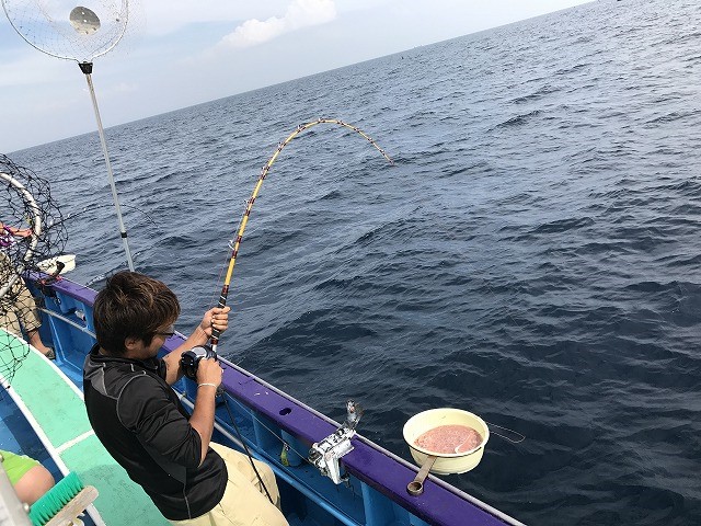 【平日】泳がせ釣りプラン