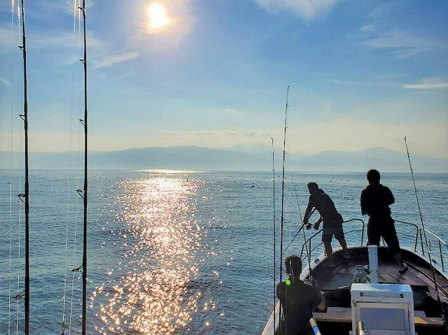 【優神丸】青物ジギング釣りプラン