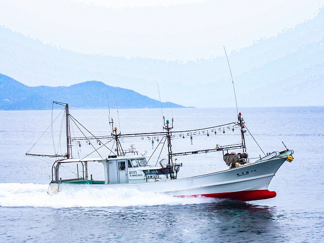 ���������ץ��