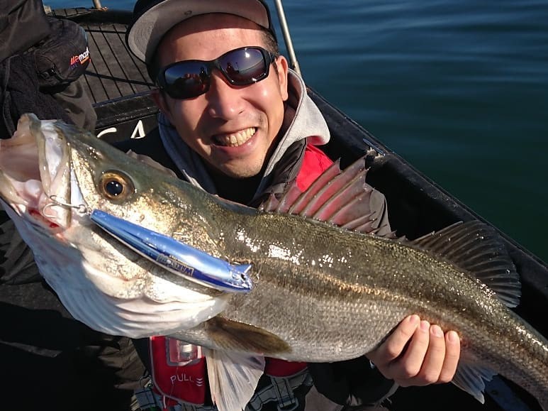 ★釣割限定=4時間便=★【夜】シーバス釣りプラン