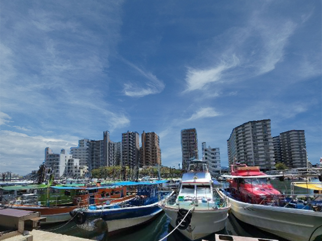 ◇平日◇朝便│アオリイカ釣りプラン
