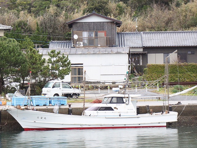 落とし込みと夜焚きイカのリレー釣りプラン