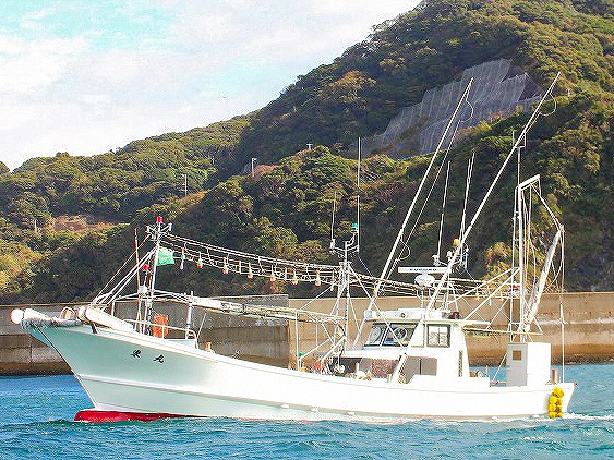 【2名様〜受付】夜焚きイカ釣りプラン ※釣り場によって料金変動あり