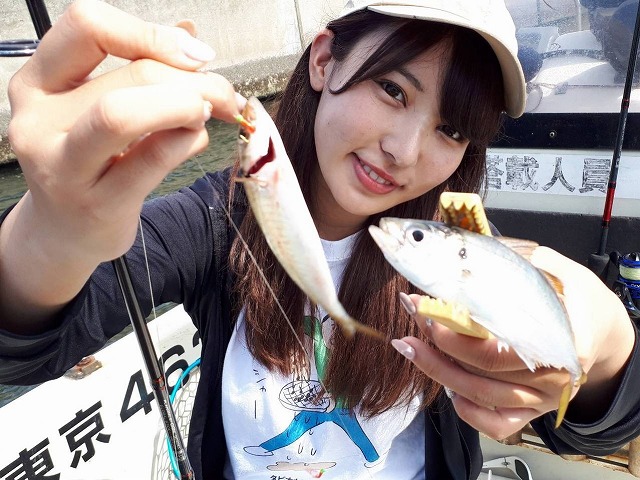 ◇フリーフィッシングプラン◇〜3時間便〜=時間内なら何を狙ってもOK♪=